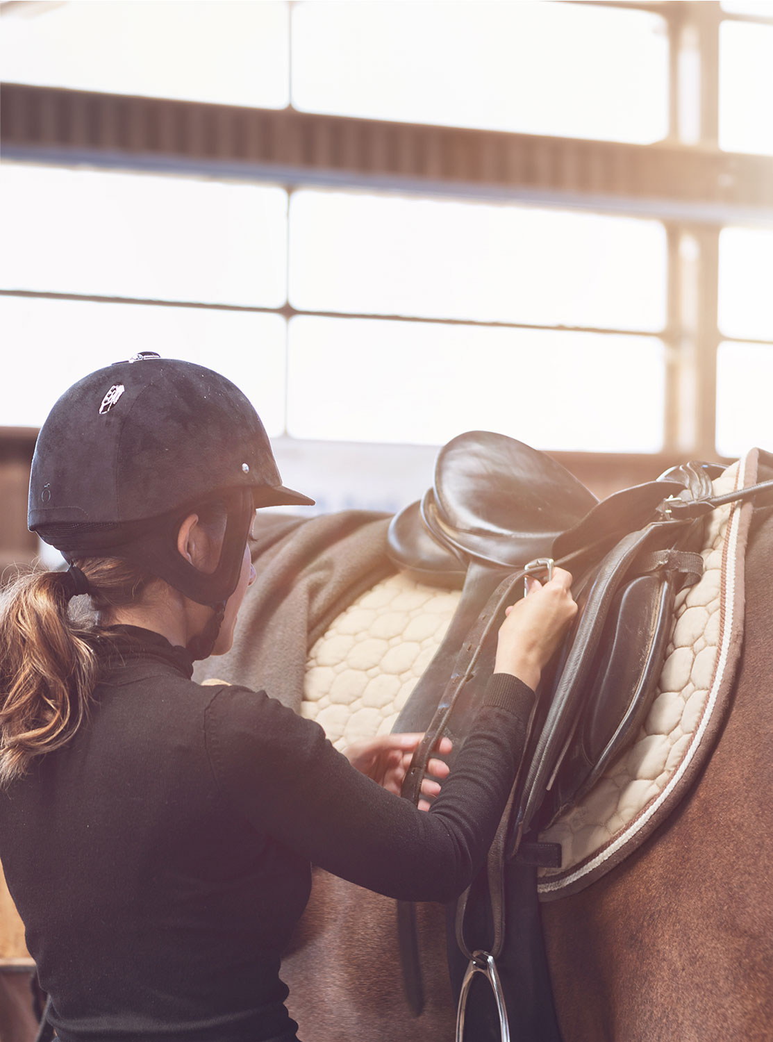 Le Pôle européen du cheval vous accueille pour des cours d'équitation, des promenades à cheval et des compétitions équestres.